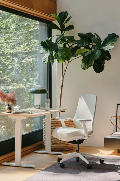 Office Chairs