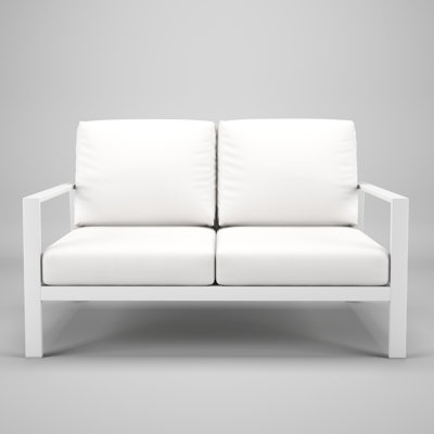 Chatwin Metal Outdoor Loveseat With Sunbrella Cushion by Birch Lane