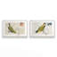 Courrier avec ailes, ensemble de 2 impressions-558502947-558502950-558502958