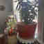 Customer photo 1 of 3