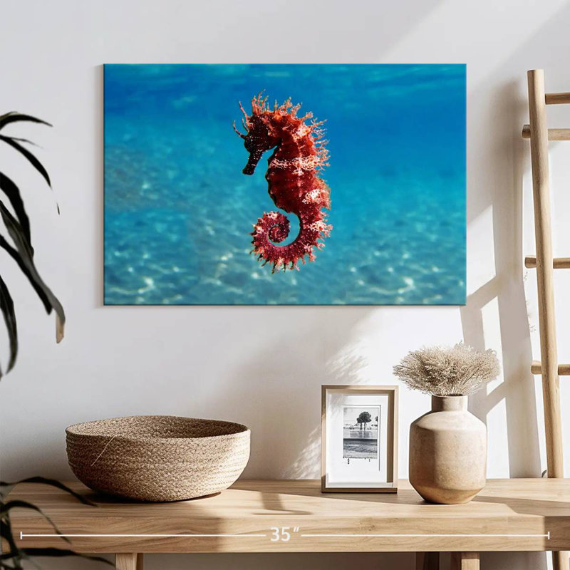 Brampt Mediterranean Seahorse, 16" H x 24" W