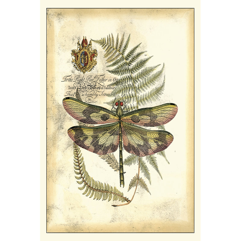 Regal Dragonfly IV by Vision Studio - Wrapped Canvas Art Prints, 46cm H x 30cm W x 3.8cm D