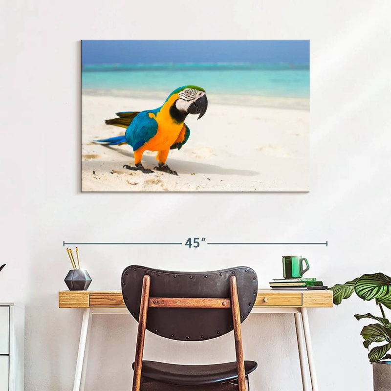 Brampt Macaw On White Sand, 26" H x 39" W