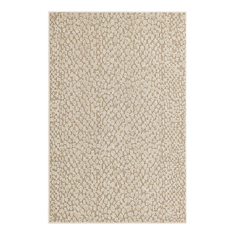Gurjot Indoor/Outdoor Area Rug, Rectangle 4'1" x 6'1"