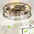 20" Low Profile Caged Ceiling Fan with Light Kit and Remote Control-1713128401