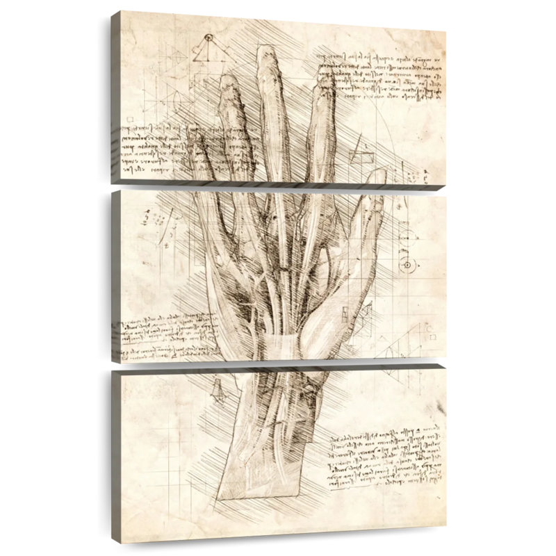 Human Hand, H 32" x l 20"