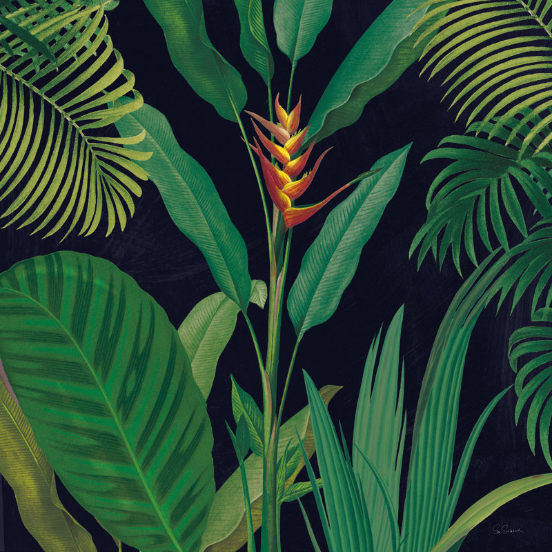 Dramatic Tropical II by Sue Schlabach - Wrapped Canvas Painting, 76cm H x 76cm W
