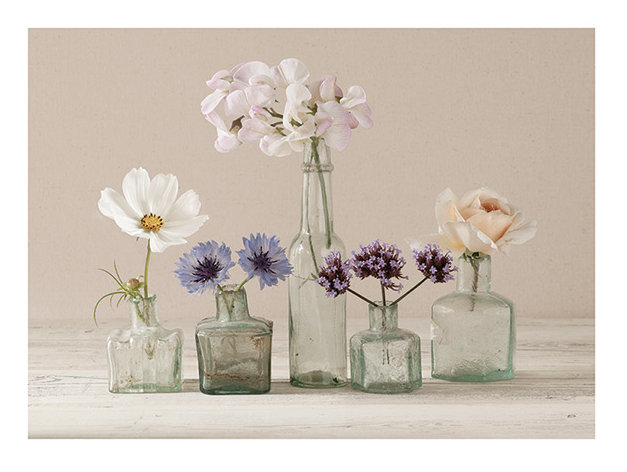 Flower Collection II 1 Piece Wall Art, Paper