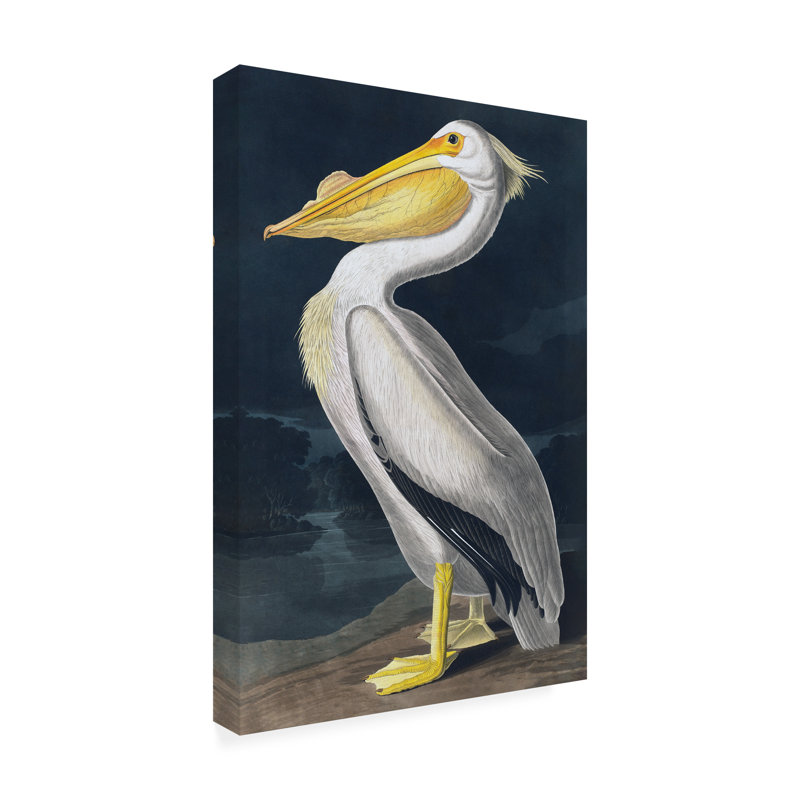 Animals Animals Incado Pelican, 24" H x 16" W x 2" D