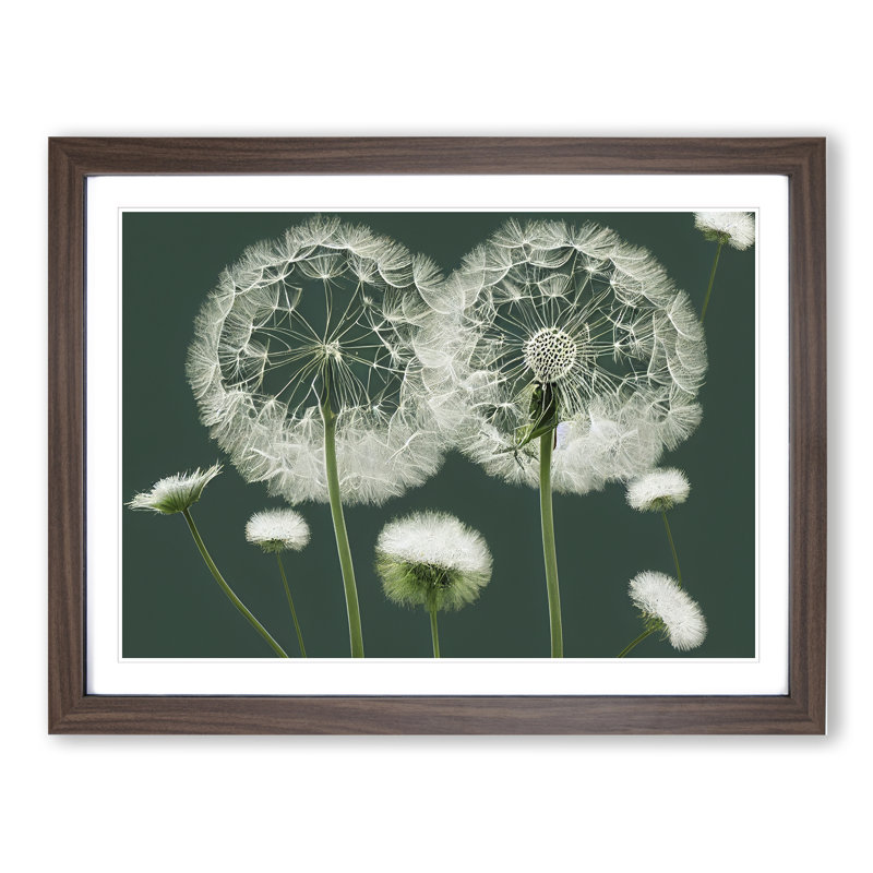 Blooming Dandelion Flowers - Framed Print, Walnut, 46cm H x 64cm W x 2cm D