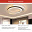 Dayceon 1 - Light Unique/Statement LED Chandelier