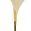 Polyethylene (PE) Pampas Arrangement