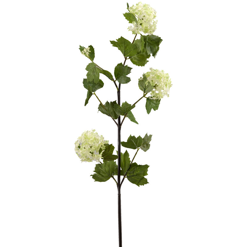 Snowball Spray Stem