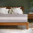Wayfair Sleep 12 Inch Pocket Spring and Foam Hybrid Mattress-667507981-543168502