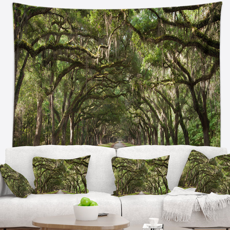 Photographie live oak tunnel tapisserie, H 32 po x l 39 po