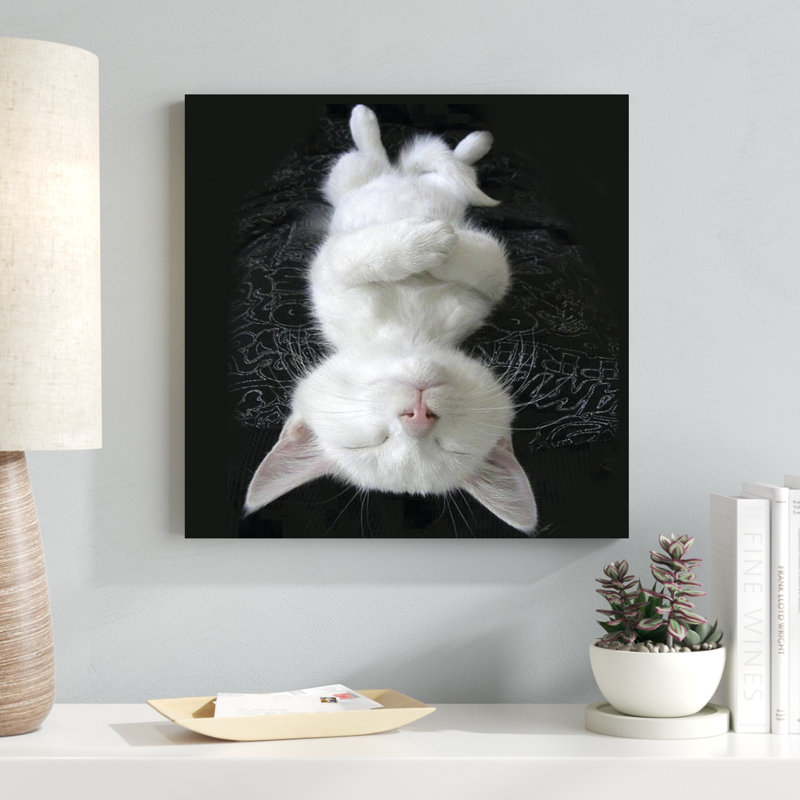 Cat Yoga III, H 20 po x l 20 po
