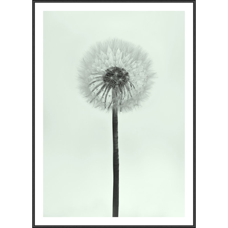 Single Picture Frame Print