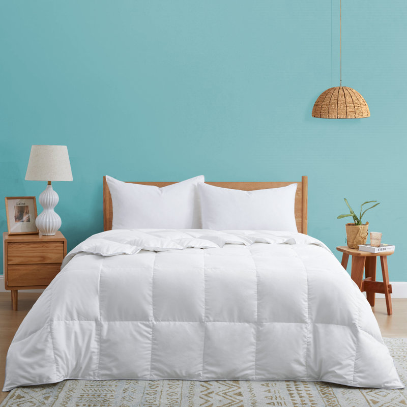 Lightweight Feather and Down Comforter/Duvet Insert, Queen, White