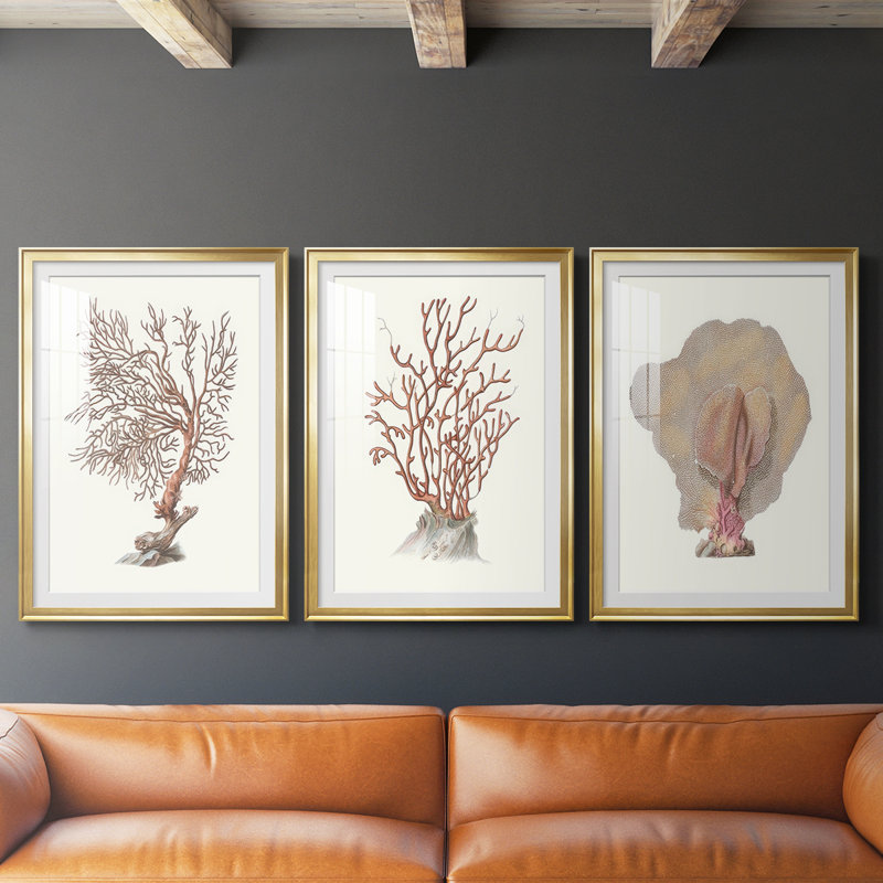 Terra Cotta Coral I - reproduction sur mesure encadrée de qualité supérieure - 3 pièces, H 19 po x l 27 po, Doré