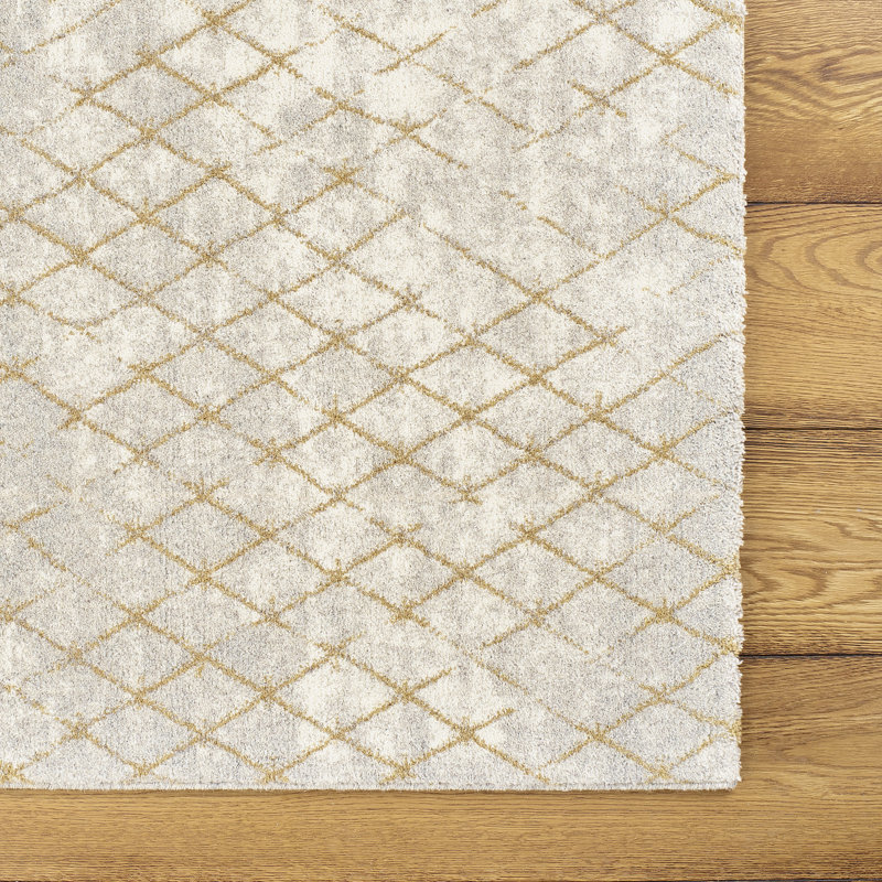 Tyronza Geometric Area Rug, Rectangle 80 x 140cm