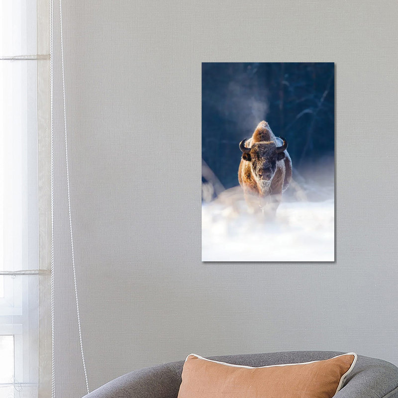 Frozen King 1 Piece Wrapped Canvas Wall Art, 66.04 cm H x 45.72 cm W x 3.175 cm D