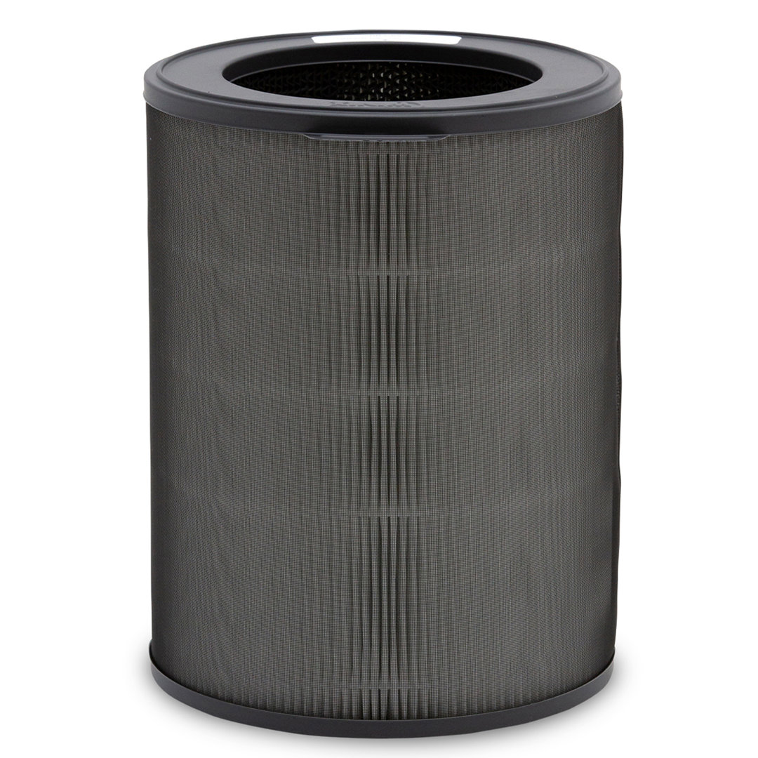Winix Genuine Replacement Filter N for NK100, NK105, QS Winix