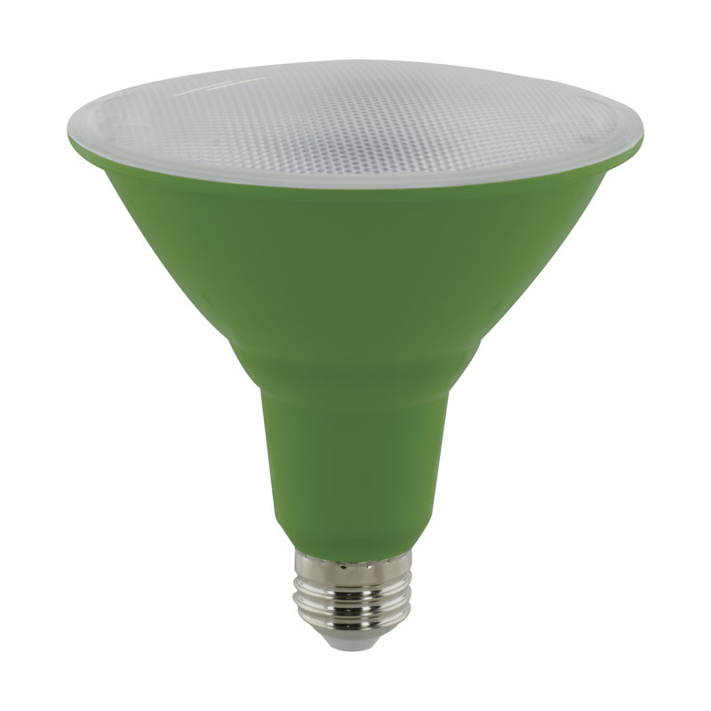 16 Watt Green LED Bulb