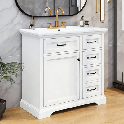 Bathroom Vanity with Sink, 2 Tip-out Drawers and Soft Close Door