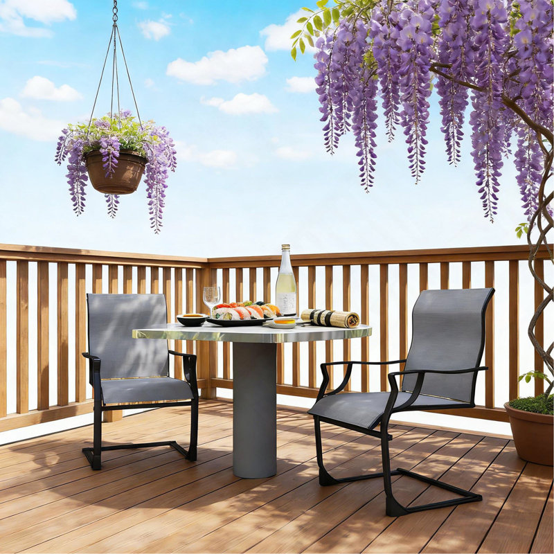 Ensemble de 2 chaises de patio pour l'extérieur