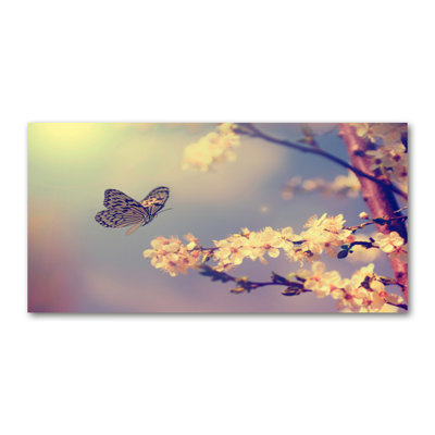 Cherry Blossom And Butterfly - No Frame Print on Canvas