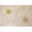 Tapis blanc / jaune touffeté à la main 4 pi x 5 pi 3 po