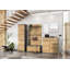 Elise 20 Pair Shoe Storage Cabinet