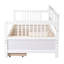 Lit de jour simple en bois avec deux tiroirs-259451643-259451642