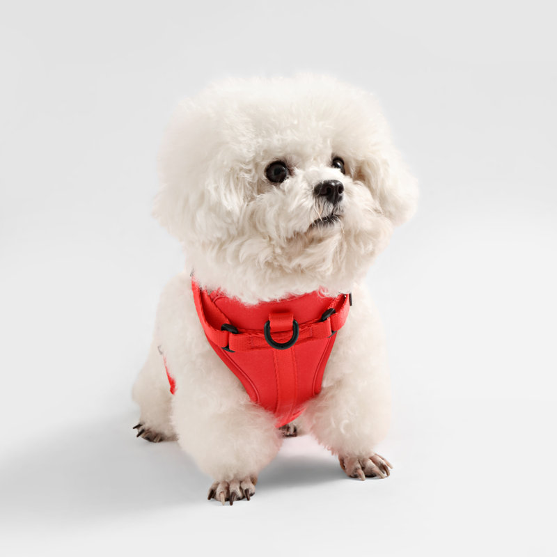 Harnais pour animal de compagnie Arlo, Rouge