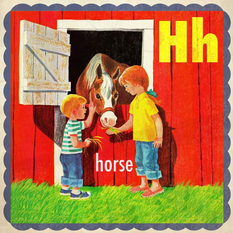 Horse - Wrapped Canvas Print, 122cm H x 122cm W