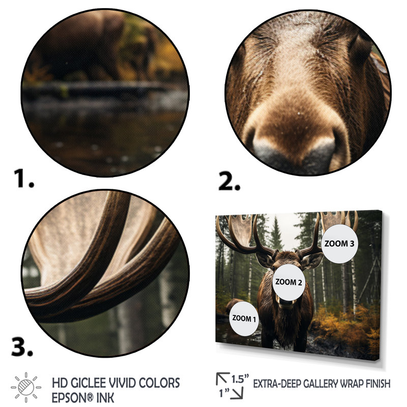 «Brown Yellow Moose Majestic», reproduction sur toile, H 34 po x l 44 po x P 1,5 po, Cadre flottant noir