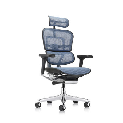 Chaise de travail ergonomique en filet Ergohuman