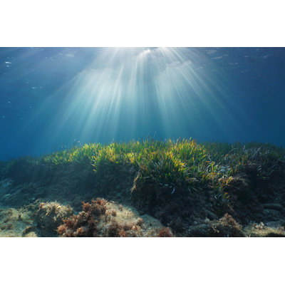 Sunbeams In Mediterranean Sea by Damocean - Wrapped Canvas Print