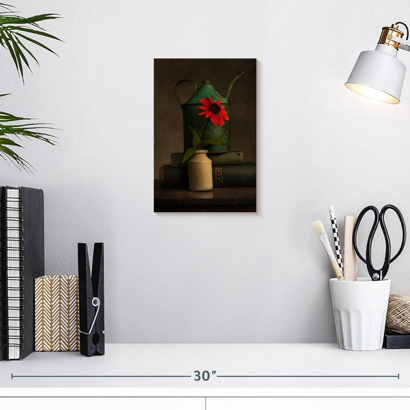 Harnek Rustic Red Coneflower, 12" H x 8" W