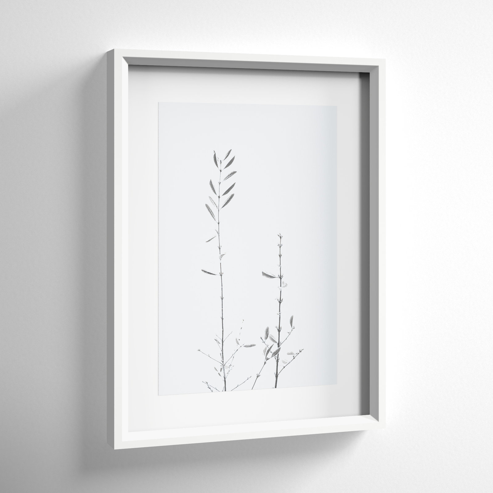 Retro Tennessee Botanical No 2 Photo Print, White, 22" H x 16" W