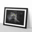 British Shorthair Cat In The Shadows Paint Splash - Picture Frame Graphic Art-56867094-56867096
