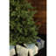 Foxtail 9' Green Pine Artificial Christmas Tree with 1250 Clear/White lights