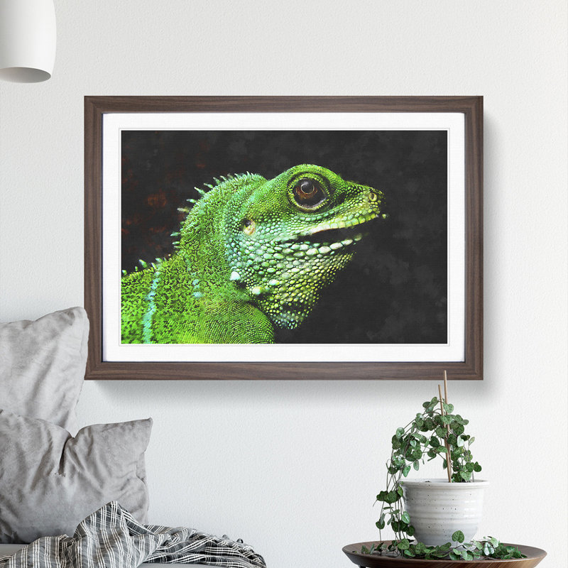 Iguana Lizard - Picture Frame Graphic Art, Walnut Framed, 27cm H x 36cm W x 2cm D