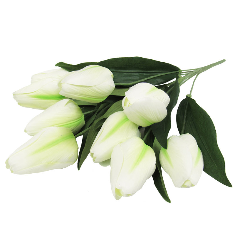 Grand tulipe, Blanc crème