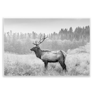 «Stoic American Elk», art mural sur bois par Sissi et Seb