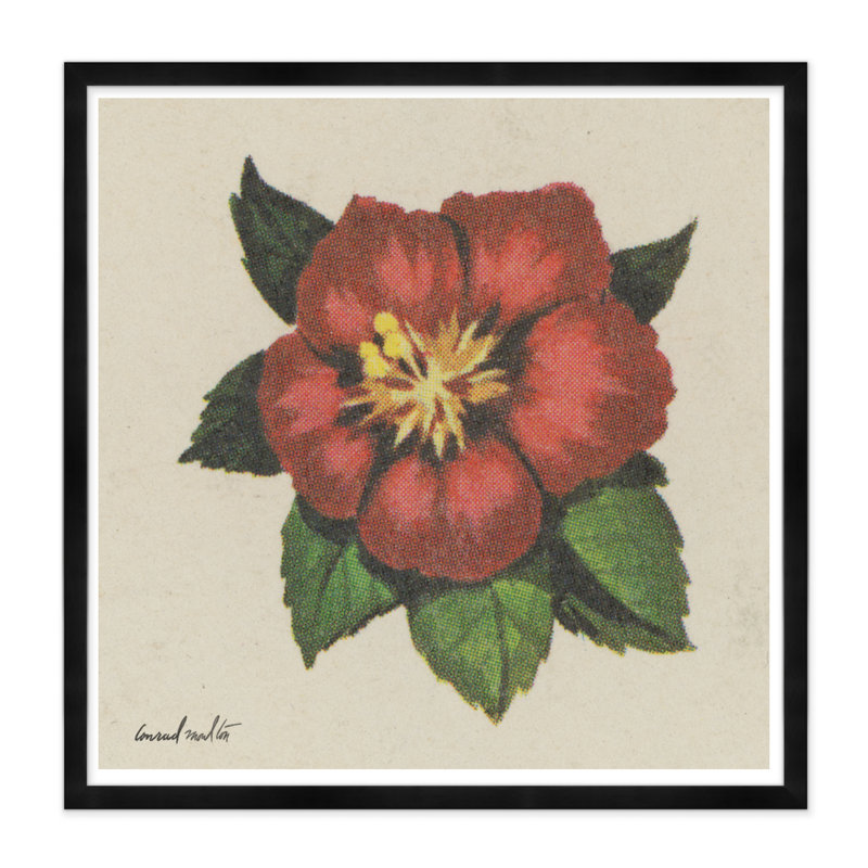 Red Blossom Print, Black