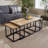 Aneisha Solid Wood and Metal Nest of 3 Coffee Side End Tables