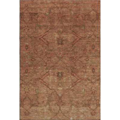 Premium Machine Washable Mayfield AMF2299 Global Rug