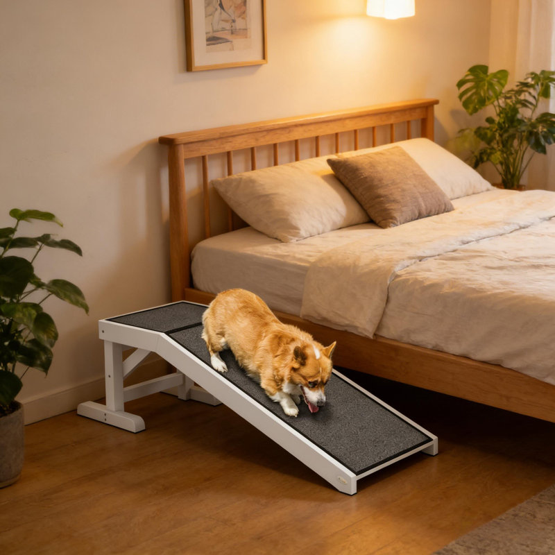 Rampe pour chien pratique et facile d'accès