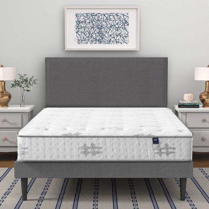 Alwyn Home Landingville 10'' Firm Mattress & Reviews | Wayfair